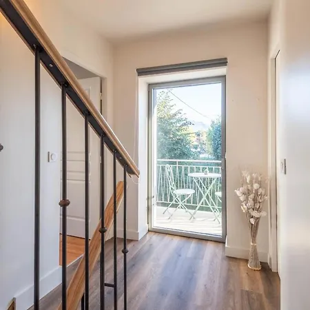 Des Cygnes Près Du Marina Grand Port *