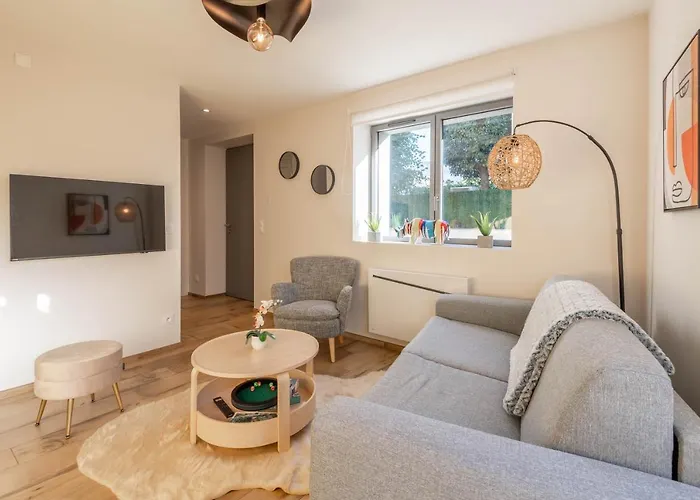 Des Cygnes Pres Du Marina Grand Port * Aix-les-Bains