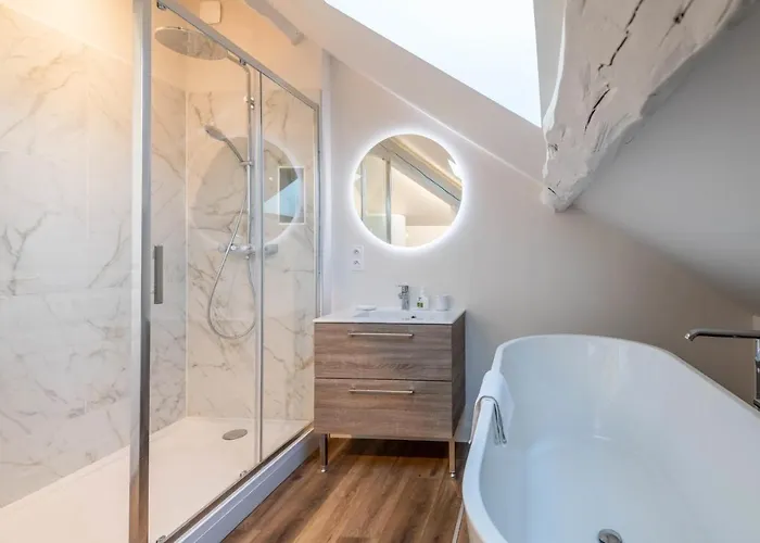 Des Cygnes Pres Du Marina Grand Port Aix-les-Bains