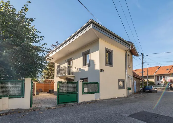 Des Cygnes Près Du Marina Grand Port * Aix-les-Bains