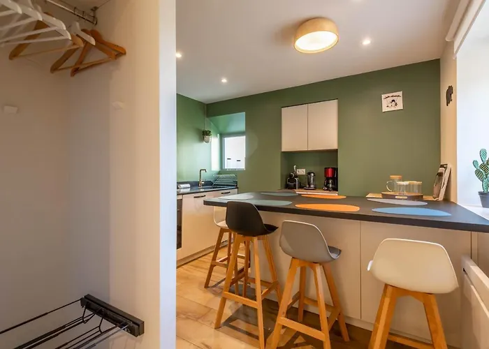 Des Cygnes Près Du Marina Grand Port * Aix-les-Bains