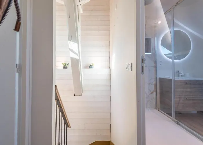 Des Cygnes Près Du Marina Grand Port *