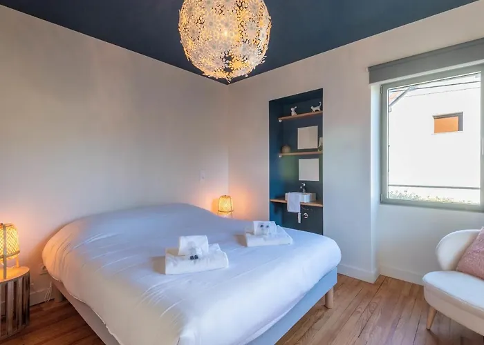 Des Cygnes Pres Du Marina Grand Port *