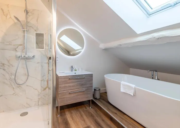 Des Cygnes Pres Du Marina Grand Port