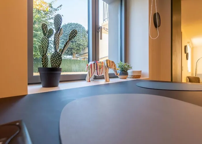 Des Cygnes Près Du Marina Grand Port Aix-les-Bains